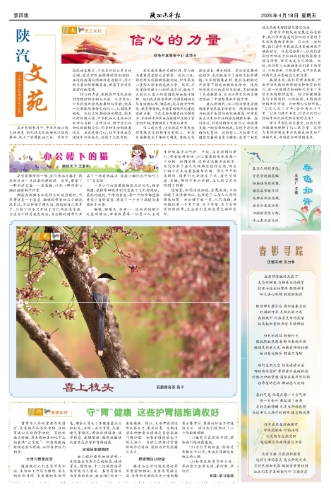 ��04�� �İ�