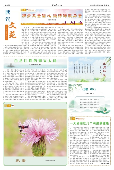 ��04�� �İ�