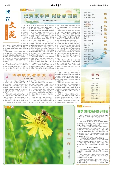 ��04�� �İ�