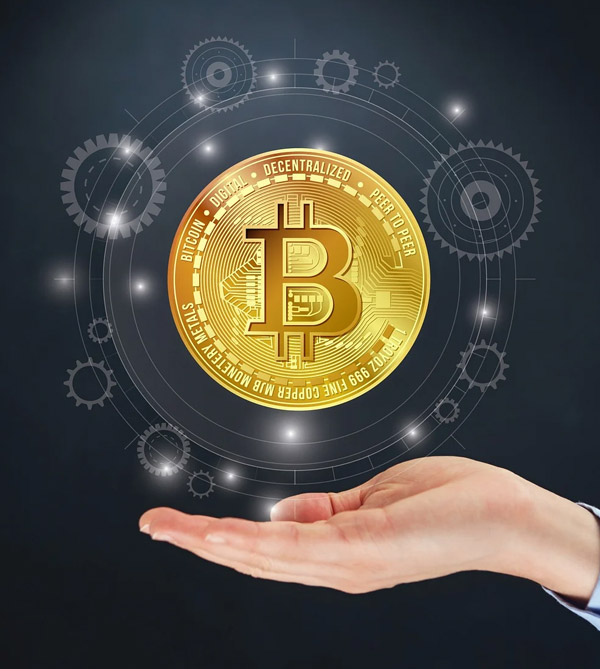 ��Ӧ�����ڷ���