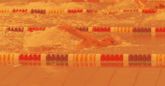 ���ŵ���ҵ����