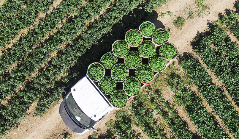 z6com�������ǲ��ع�z6com�������ǲ�z6com�������ǲ�z6com�������ǲ��������޹�˾